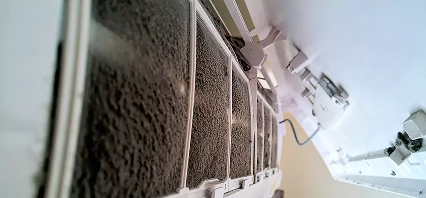 Preventive Air Duct Bacteria Removal in Pekin