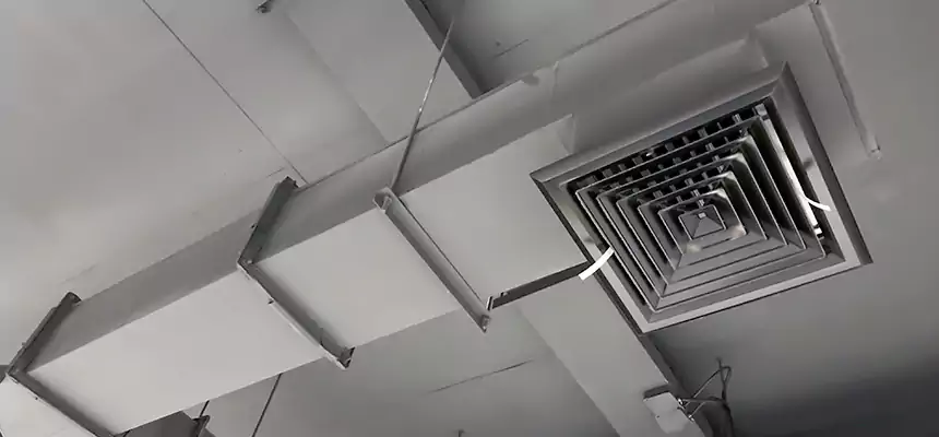 Our Rodent Droppings In Vents Services in Pekin, IL