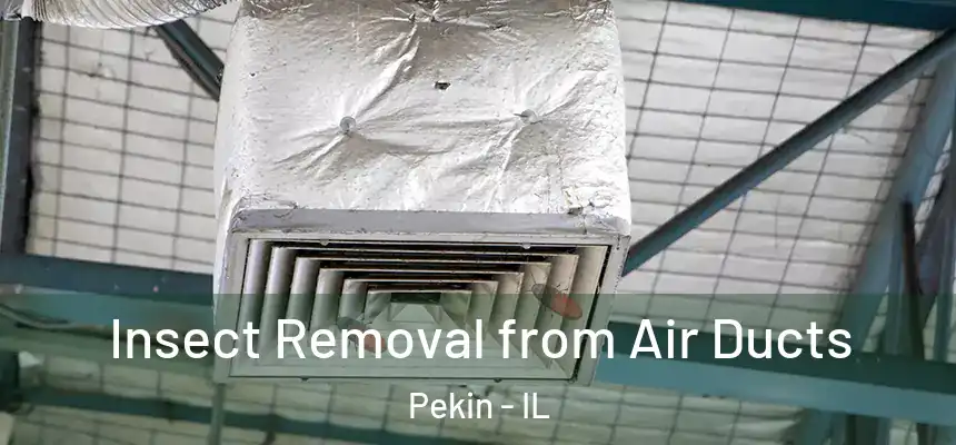  Insect Removal from Air Ducts Pekin - IL