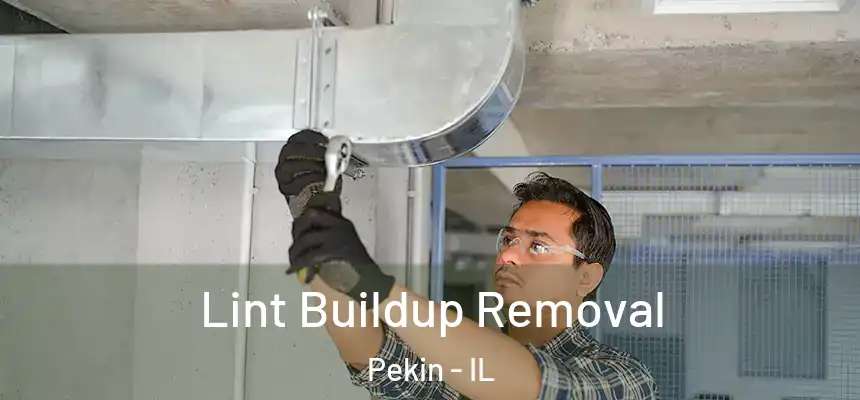 Lint Buildup Removal Pekin - IL