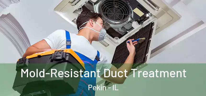  Mold-Resistant Duct Treatment Pekin - IL