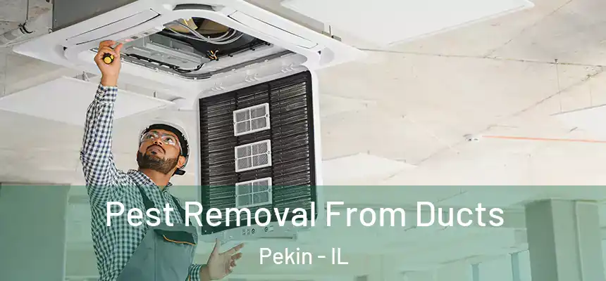  Pest Removal From Ducts Pekin - IL