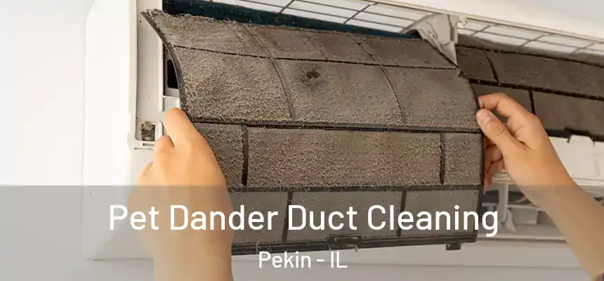 Pet Dander Duct Cleaning Pekin - IL