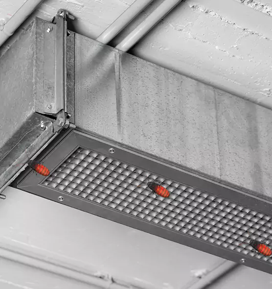 About Air Duct Cockroach Removal in Pekin, IL