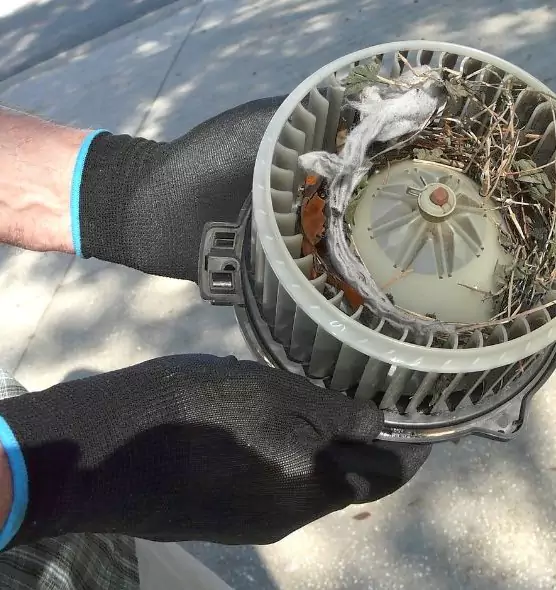 About Air Duct Rat Removal in Pekin, IL