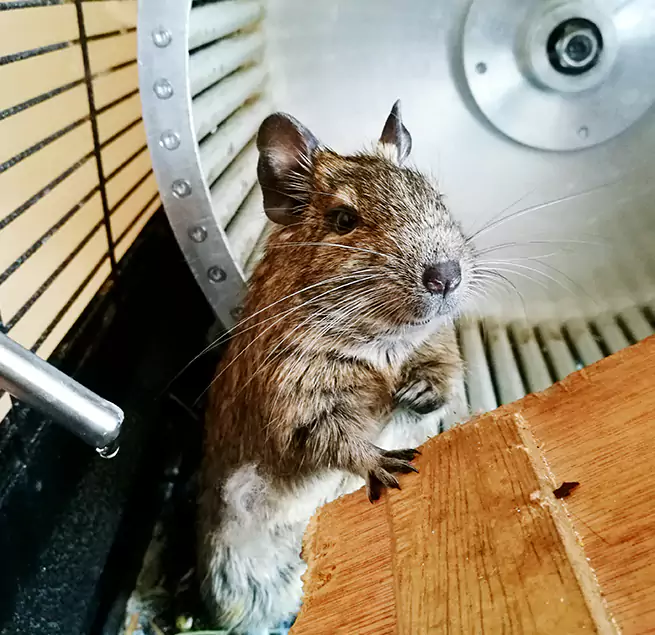 Why Homeowners & Businesses Trust Us Pekin, IL?