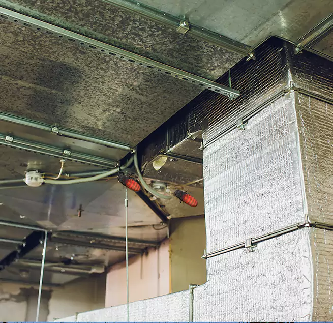 Why Homeowners & Businesses Trust Us Pekin, IL?