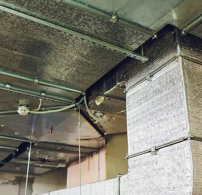 Why Homeowners & Businesses Trust Us in Pekin, IL?